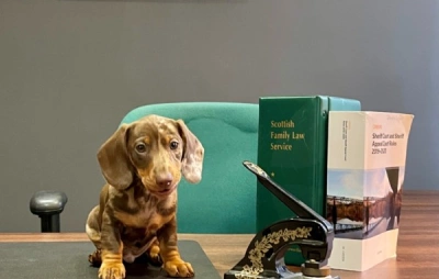 Puppy love at Johnson Legal