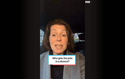 Who gets the pets in a divorce?