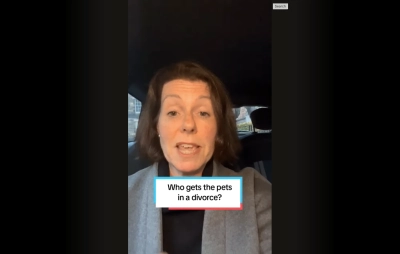 Who gets the pets in a divorce?